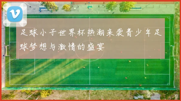 足球小子世界杯热潮来袭青少年足球梦想与激情的盛宴