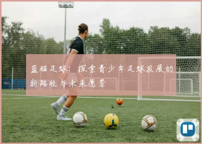 蓝猫足球：探索青少年足球发展的新路径与未来愿景