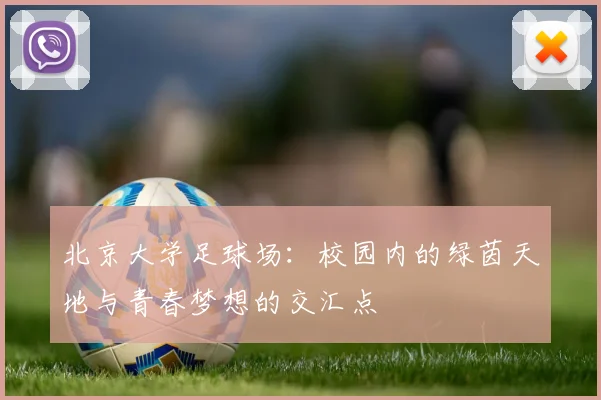 北京大学足球场：校园内的绿茵天地与青春梦想的交汇点