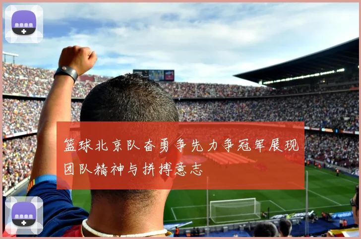 篮球北京队奋勇争先力争冠军展现团队精神与拼搏意志