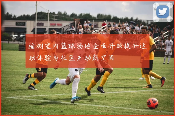 榆树室内篮球场地全面升级提升运动体验与社区互动新空间