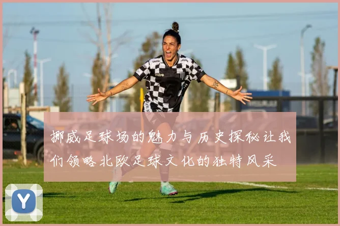 挪威足球场的魅力与历史探秘让我们领略北欧足球文化的独特风采