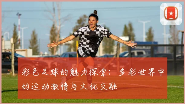 彩色足球的魅力探索：多彩世界中的运动激情与文化交融