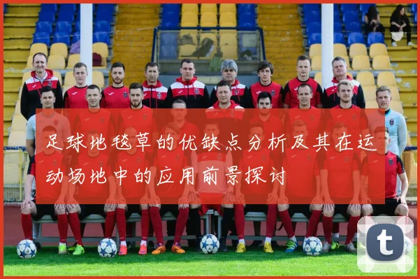 足球地毯草的优缺点分析及其在运动场地中的应用前景探讨