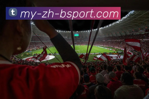 B体育APP 封面图